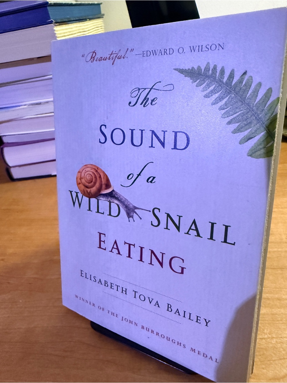 The Sound of a Wild Snail Eating